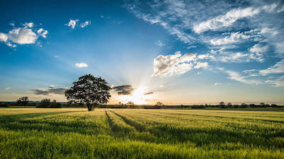 �`���O(sh��)��ذ����(d��ng)Ҏ(gu��)����